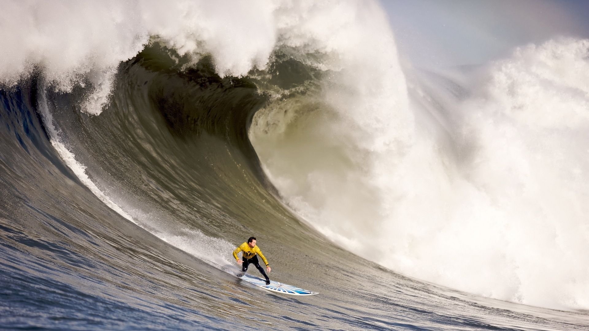 夏洛特黄蜂德国杯造点,斯图加特单刀错失;巴萨转会期状态回暖直接炸裂